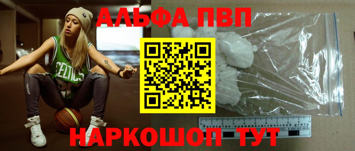 Alfa_PVP СК КРИС Кореновск